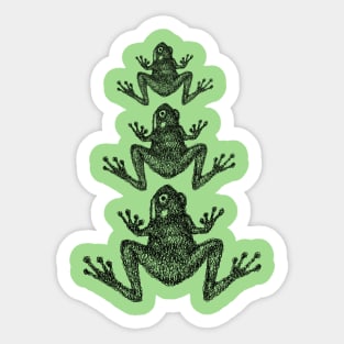 Three Doodle Frogs Sticker